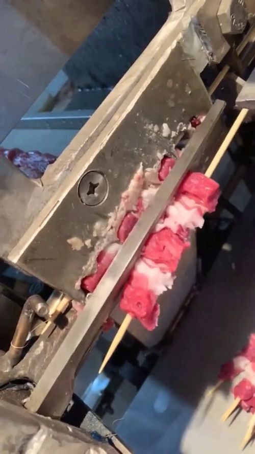 關(guān)于肉串加工廠的一些觀察與思考